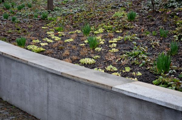 Concrete Wall Construction in Ventura