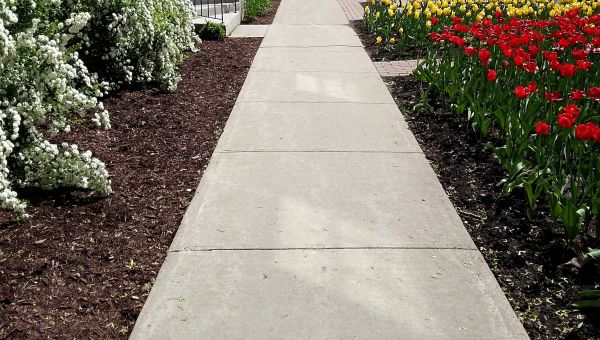 Cement Sidewalk Installation in Ventura