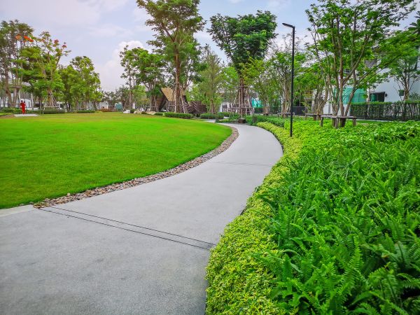 Cement Walkway Service in Ventura